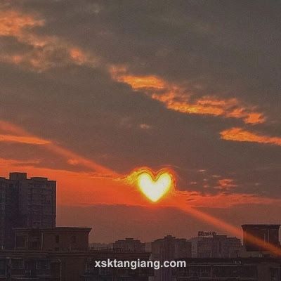 Ảnh đại diện người dùng Aditi
